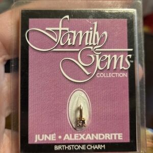 FAMILYGEMS Austrian Crystal 18kt Gold Layered Birthstone Charm☆June~Alexanderite